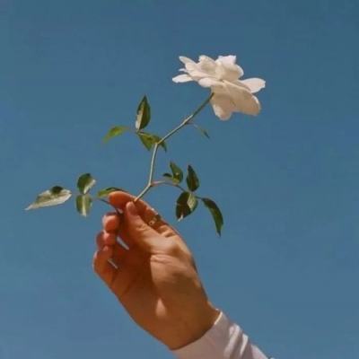 手游武极天下官方版下载